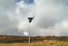 Wind Turbine doesn't worry sheep